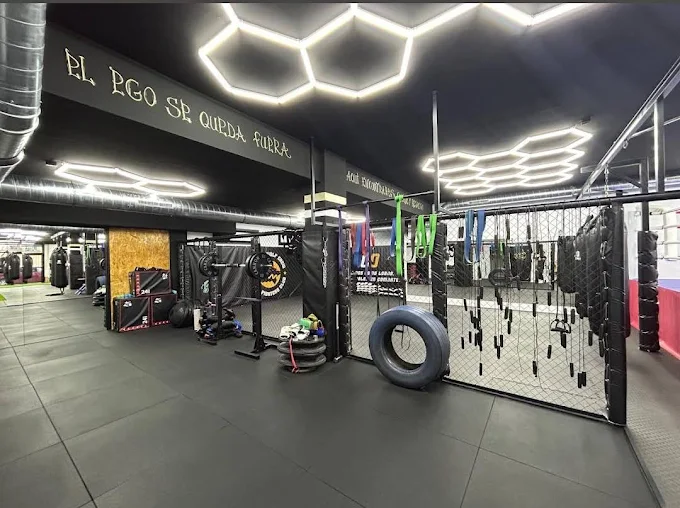 Zona de entrenamiento funcional