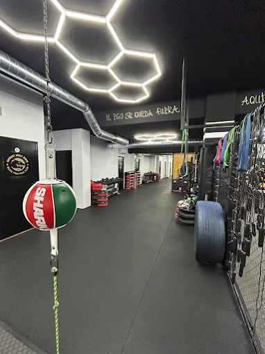 Área de entrenamiento funcional