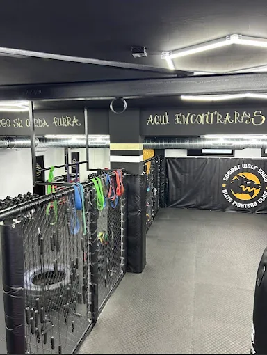 Material de entrenamiento: gomas y bandas elásticas
