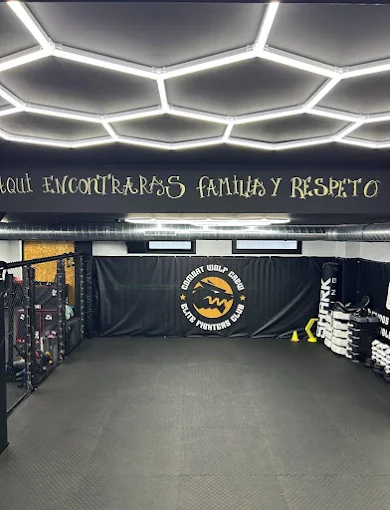 Zona de Muay Thai