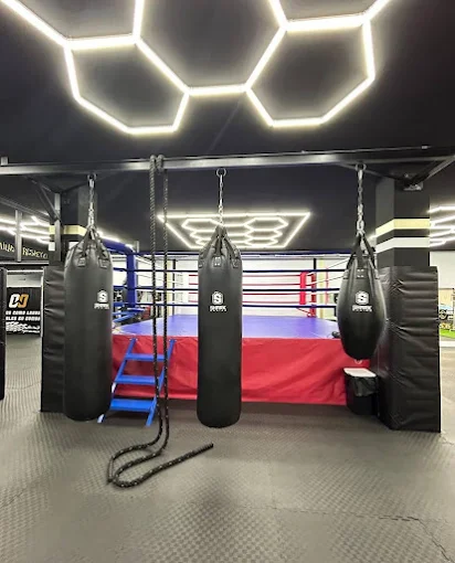 Sacos de boxeo pesados